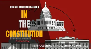 Understanding the Constitution's Checks and Balances System