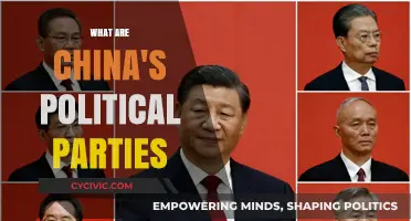 Understanding China's Political Parties: Structure, Roles, and Influence