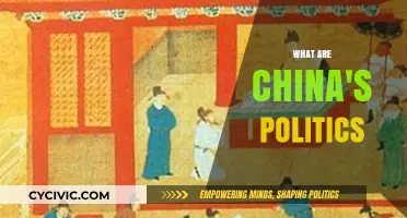 Understanding China's Political System: Principles, Structure, and Global Influence