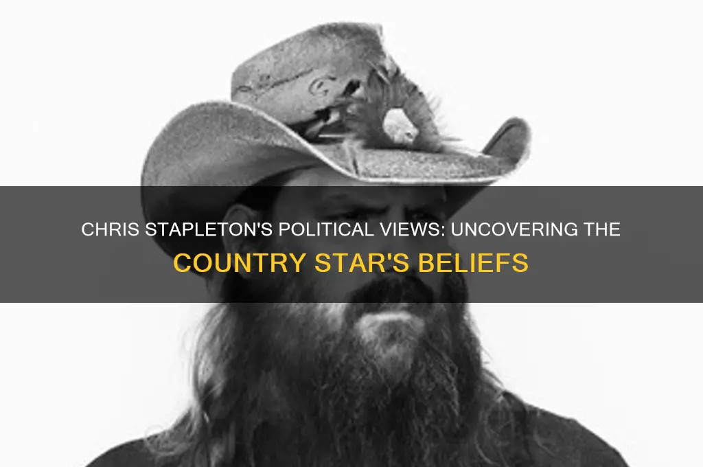 what are chris stapleton politics