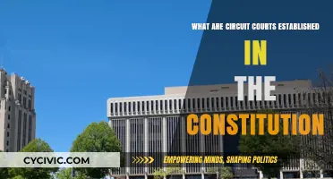 Circuit Courts: Understanding Their Constitutional Roots