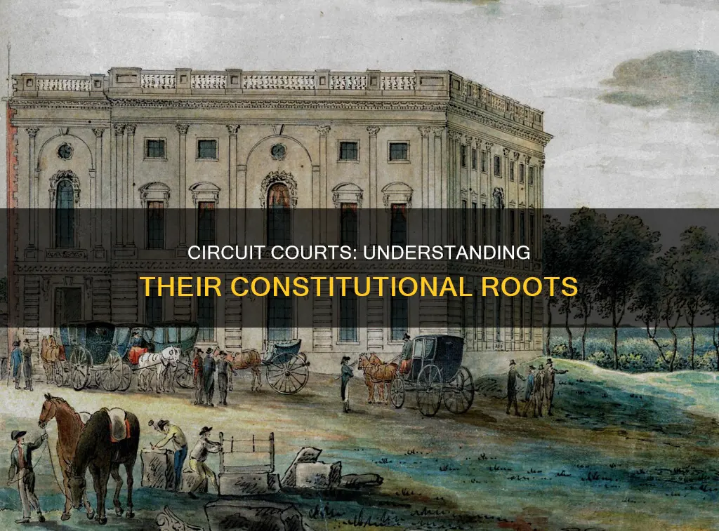 what are circuit courts established in the constitution