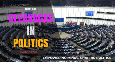 Understanding Political Cleavages: Divisions Shaping Modern Societies and Ideologies