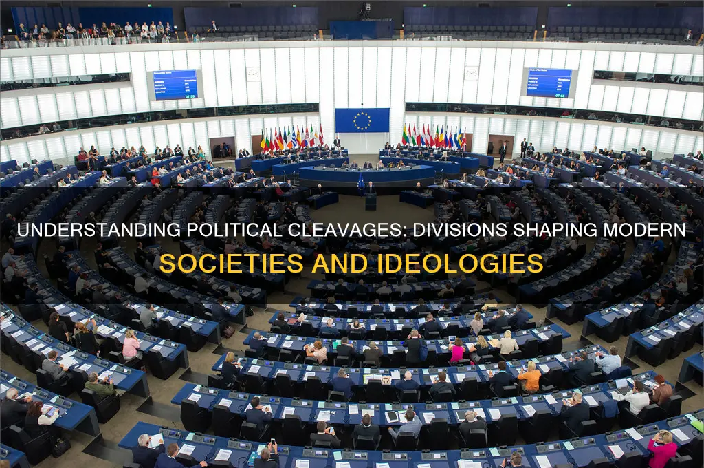 what are cleavages in politics