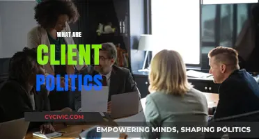Understanding Client Politics: Navigating Workplace Dynamics and Power Structures