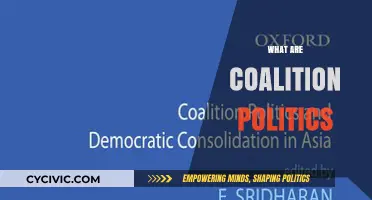 Understanding Coalition Politics: Dynamics, Challenges, and Global Impact