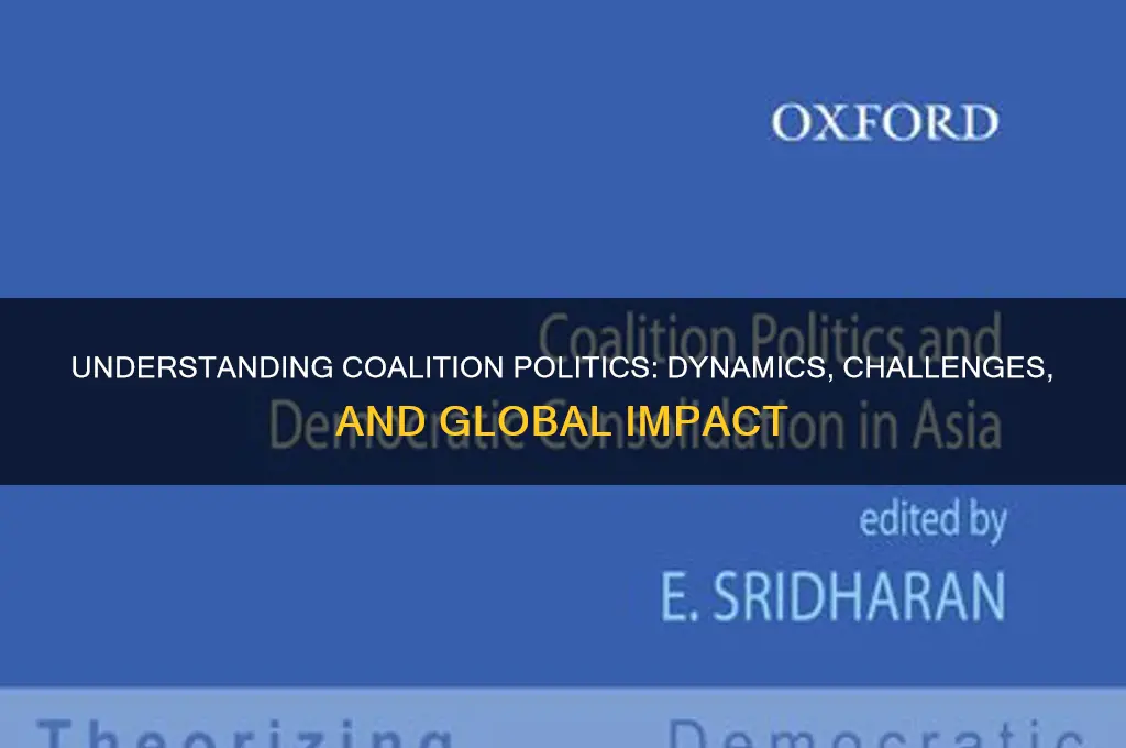 what are coalition politics