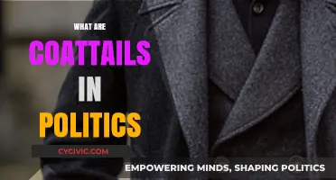 Understanding Political Coattails: How They Influence Elections and Campaigns