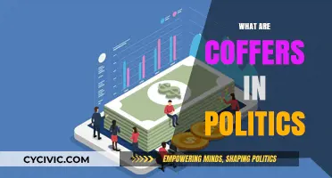 Understanding Political Coffers: Funding, Influence, and Power Dynamics Explained