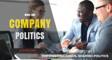 Understanding Company Politics: Navigating Workplace Dynamics and Power Struggles