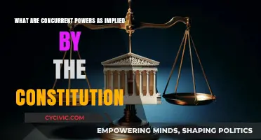 Concurrent Powers: Shared Responsibilities of States and Federal Government