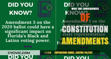 Amendments: Shaping Our Future and Our Rights