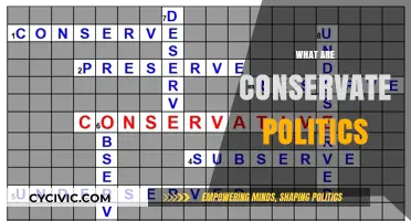 Understanding Conservative Politics: Core Principles, Policies, and Modern Impact