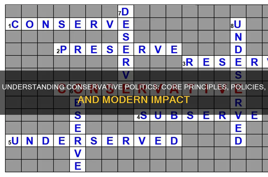what are conservate politics