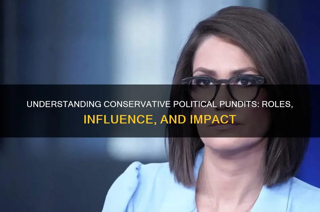 what are conservative political pundit