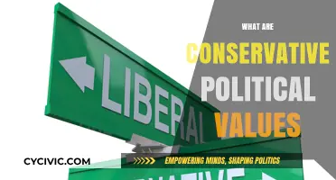 Understanding Conservative Political Values: Principles, Policies, and Impact