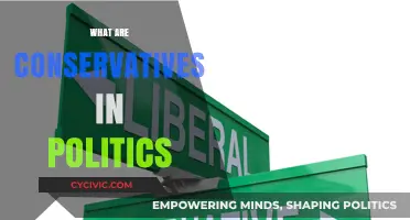 Understanding Conservatism: Core Principles and Political Impact Explained