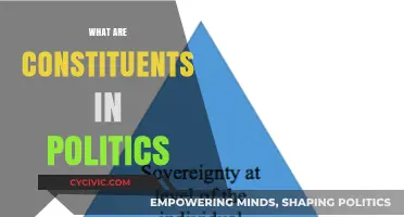 Understanding Political Constituents: Key Players in Democracy and Representation