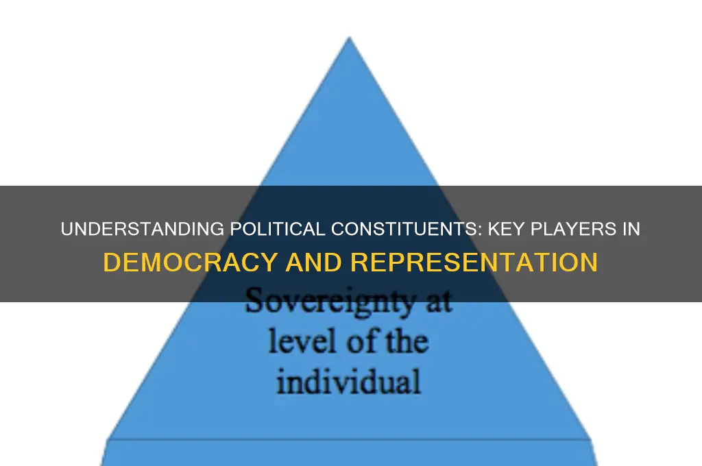 what are constituents in politics
