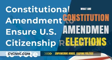 Understanding Constitutional Amendment Elections