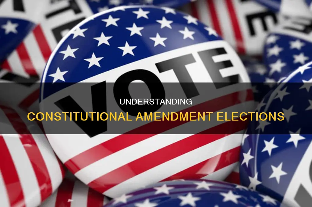 what are constitutional amendment elections