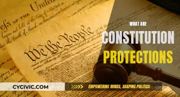 Constitutional Protections: Our Fundamental Rights and Freedoms