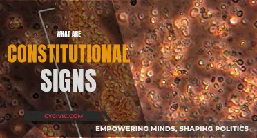 Understanding Constitutional Signs: Vital Health Indicators