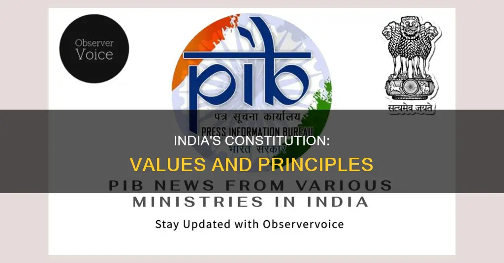 what are constitutional values of india
