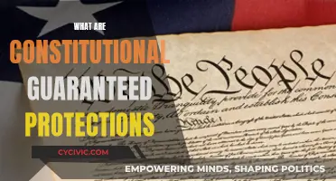 The Constitution's Safeguards: Our Rights and Protections