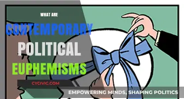 Decoding Modern Political Euphemisms: Language, Power, and Hidden Meanings