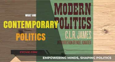 Understanding Contemporary Politics: Trends, Challenges, and Global Impacts Today