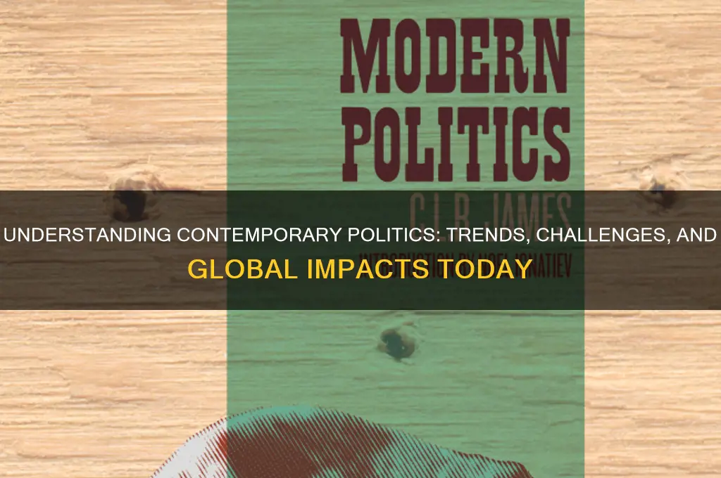 what are contemporary politics