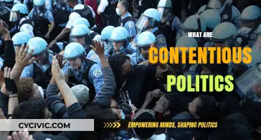 Understanding Contentious Politics: Conflict, Mobilization, and Social Change Explained