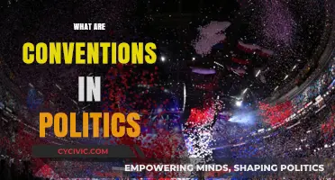 Understanding Political Conventions: Their Role, Impact, and Significance in Democracy