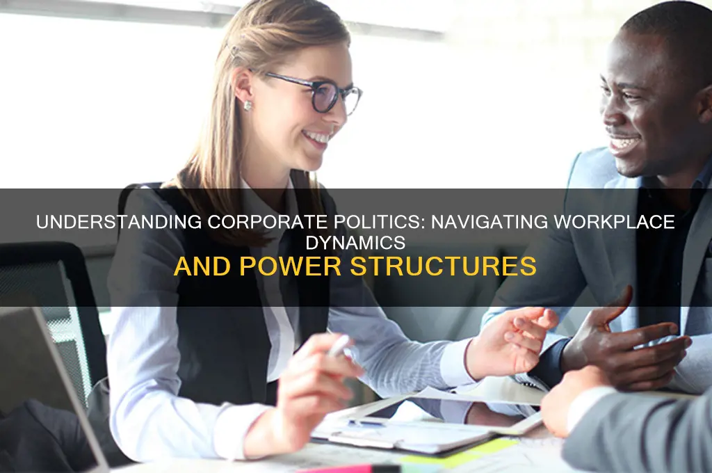 what are corporate politics