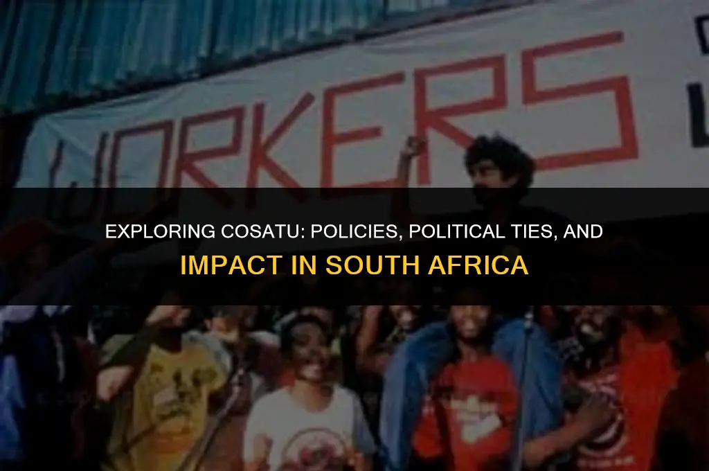 what are cosatu policies and political affiliations