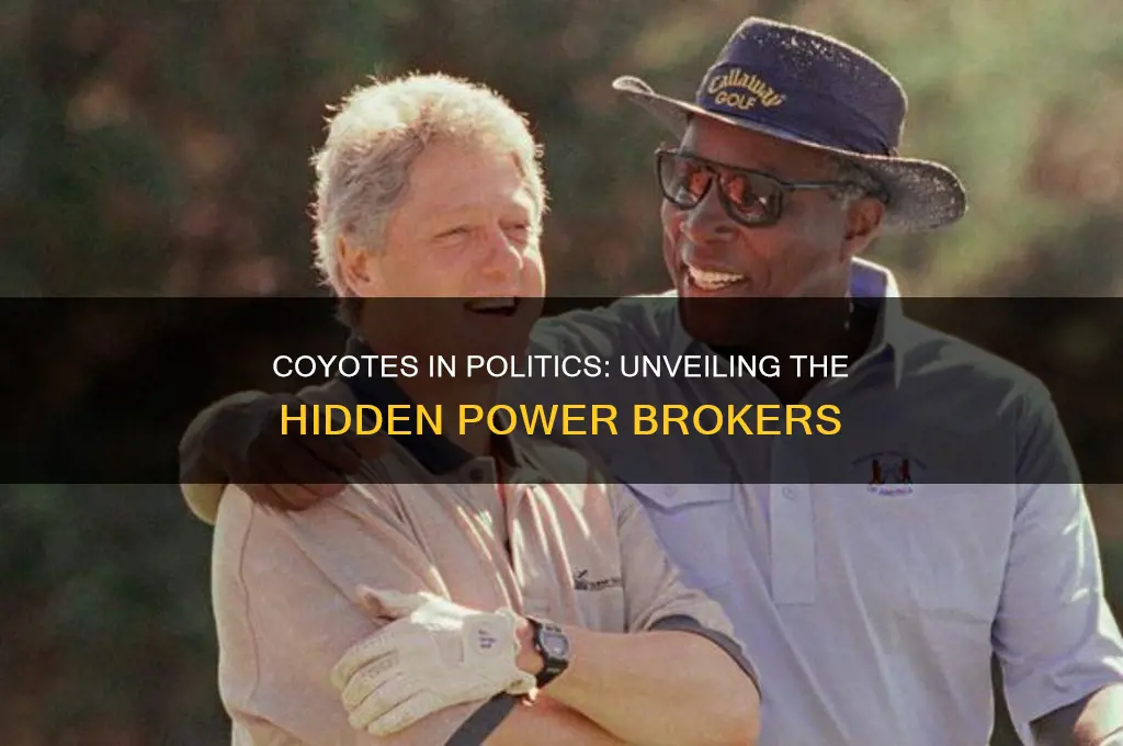 what are coyotes in politics