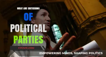 Critiquing Political Parties: Analyzing Flaws, Biases, and Systemic Failures