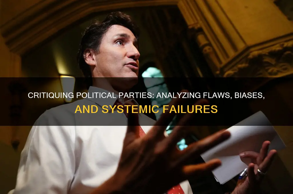 what are criticisms of political parties