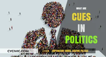 Decoding Political Cues: Understanding Hidden Signals in Public Discourse