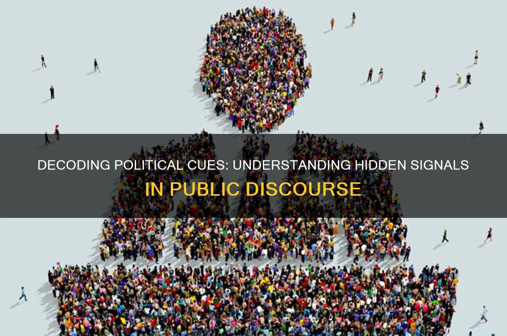 what are cues in politics