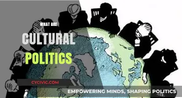 Understanding Cultural Politics: Power, Identity, and Social Change Explained