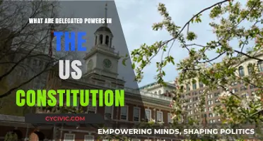 Understanding Delegated Powers in the US Constitution