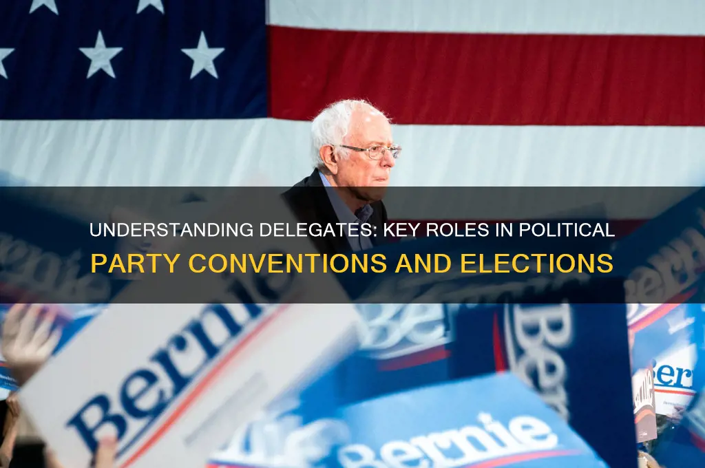 what are delegates in political parties