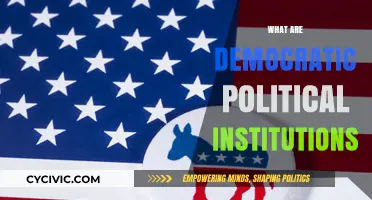 Understanding Democratic Political Institutions: Foundations, Functions, and Impact