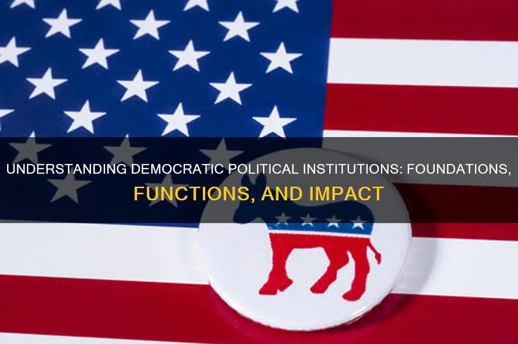 what are democratic political institutions