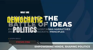 Understanding Democratic Politics: Principles, Processes, and Participation Explained
