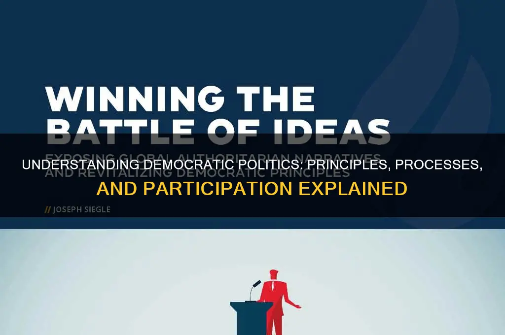 what are democratic politics