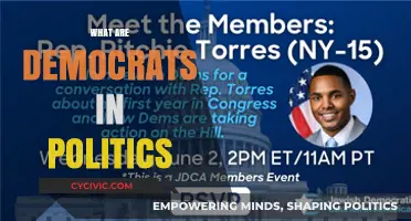 Understanding Democrats: Core Values, Policies, and Political Impact