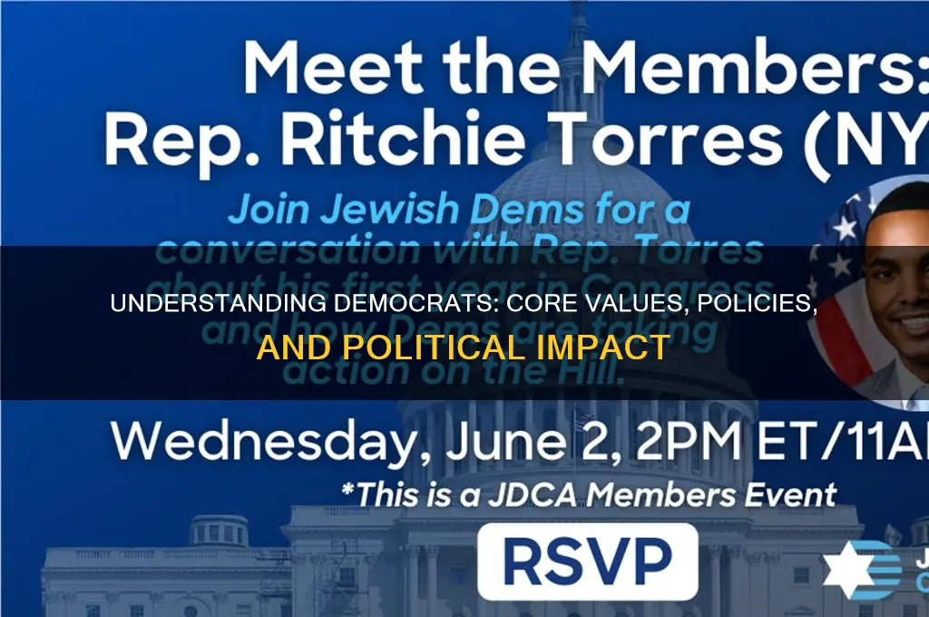 what are democrats in politics